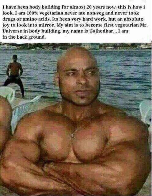 vegetarian bodybuilder