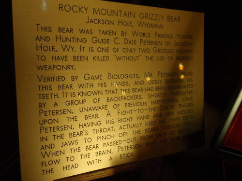 Rocky Mountain Grizzle Bear killed by hand