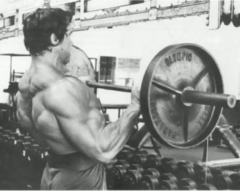 Arnold Schwarzenegger Workout