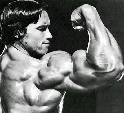 Arnold Schwarzenegger Workout