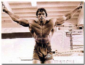 Arnold Schwarzenegger Workout